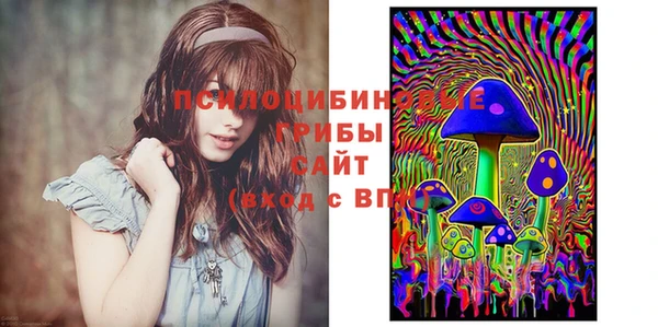 хмурый Балабаново