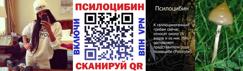 Псилоцибиновые грибы мухоморы  MEGA вход  Старица 